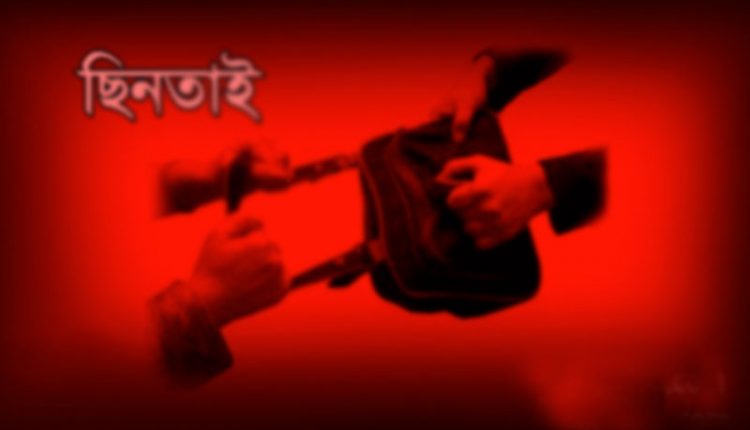 ছিনতাইকারীর হ্যাঁচকা টান, রিকশা থেকে পড়ে আহত সেই নারীর মৃত্যু